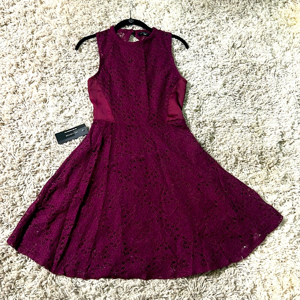 The Limited NWT Sz. 0 Sleeveless A-line Embroidered Lace Dress